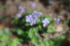 Lensbaby Velvet 56