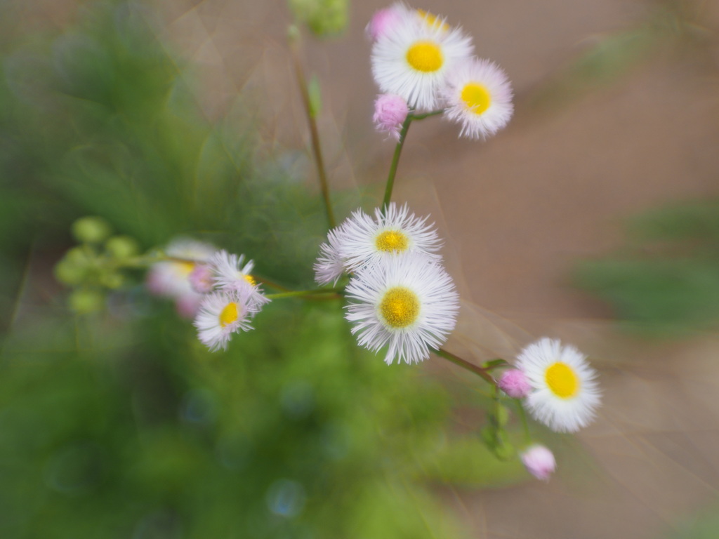 LENSBABYコンポーザー