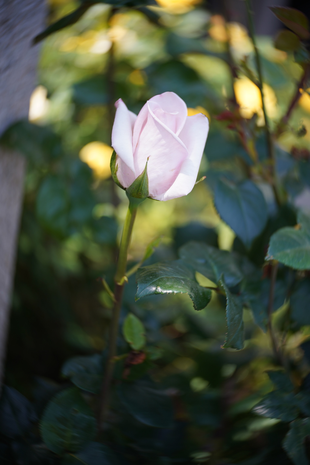 LENSBABY Twist60