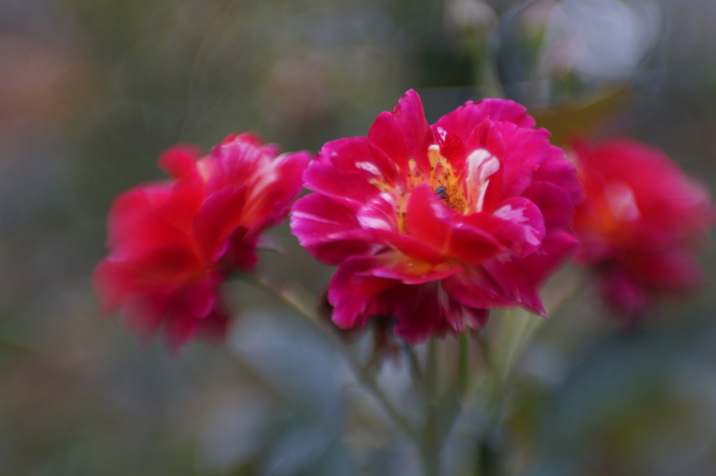 Lensbaby ダブルグラス