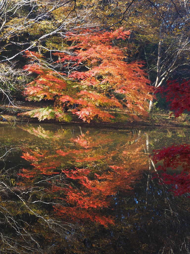 泉自然公園にて