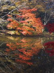 泉自然公園にて