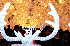 御殿場のイルミネーション