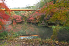 泉自然公園紅葉