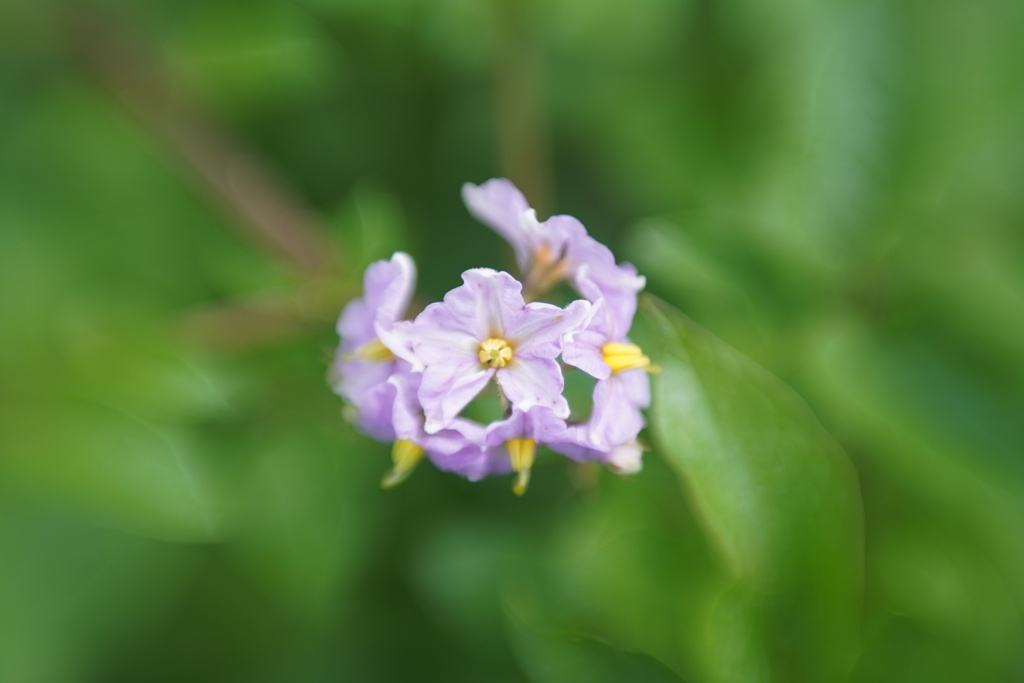 Lensbaby ダブルグラス