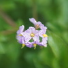 Lensbaby ダブルグラス