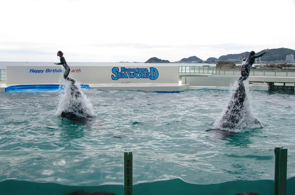 鴨川シーワールド　