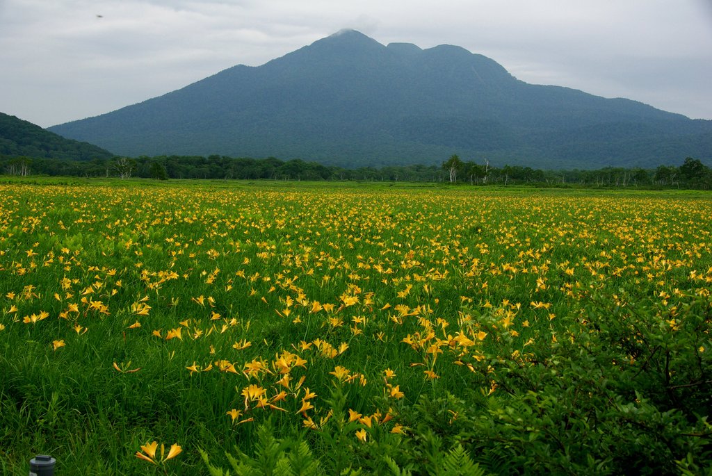 尾瀬　燧岳