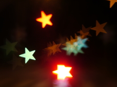 LENSBABY 　試写