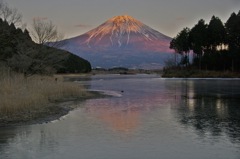 田貫湖からの富士（HDR)