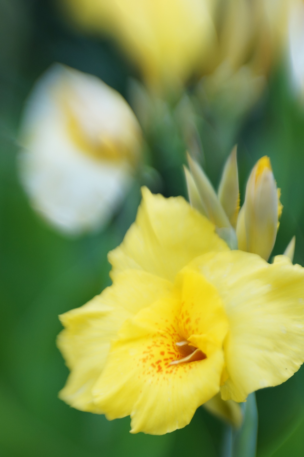 Lensbaby ダブルグラス