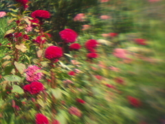 LENSBABY   シングルグラス試写