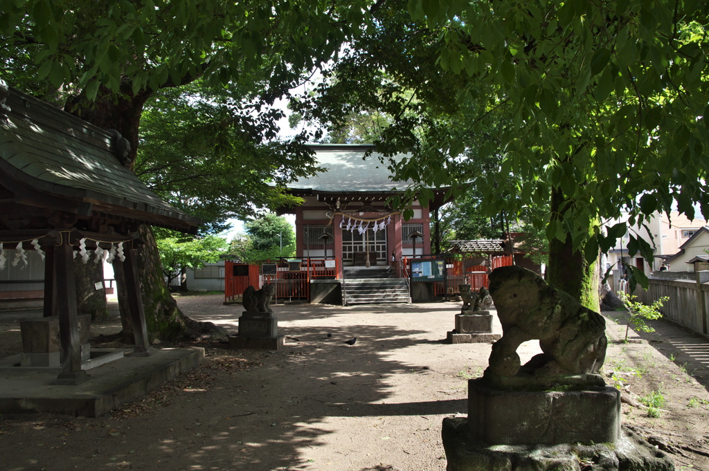 青渭神社
