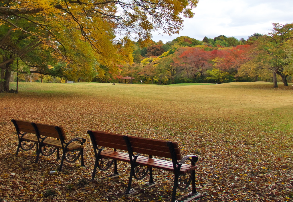 紅葉の公園