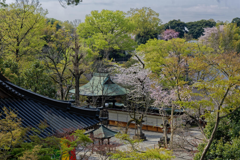 深大寺