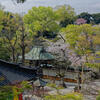 深大寺