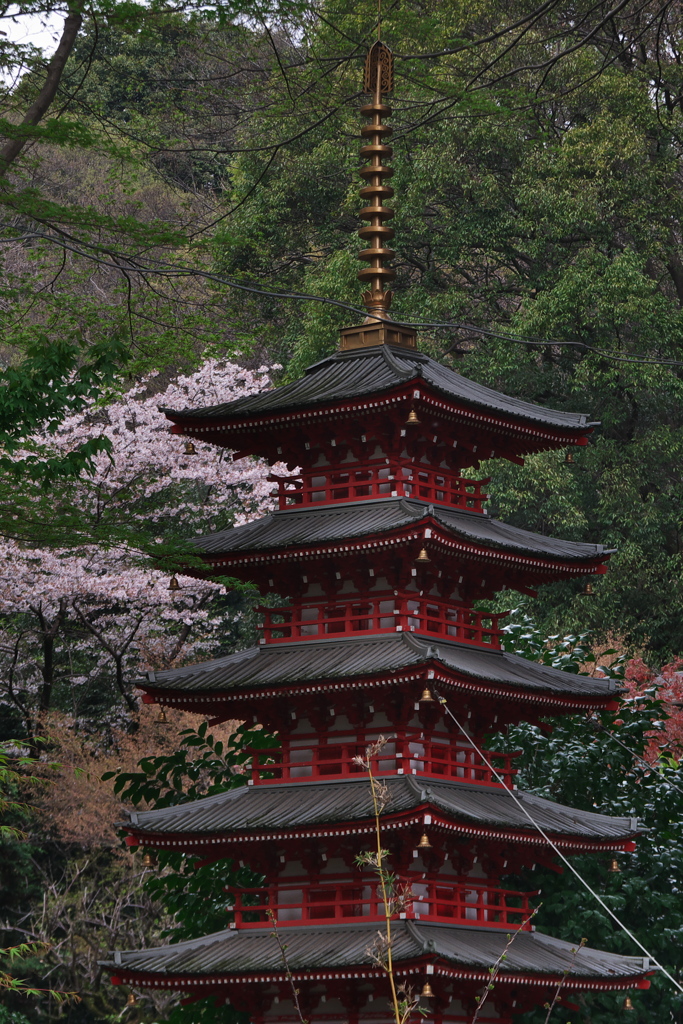 武蔵国分寺七重塔想像模型と桜