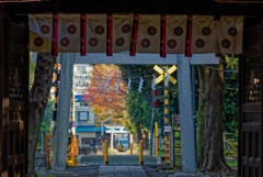 武蔵国府八幡宮2