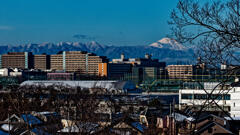 富士山