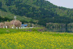 田沢湖畔