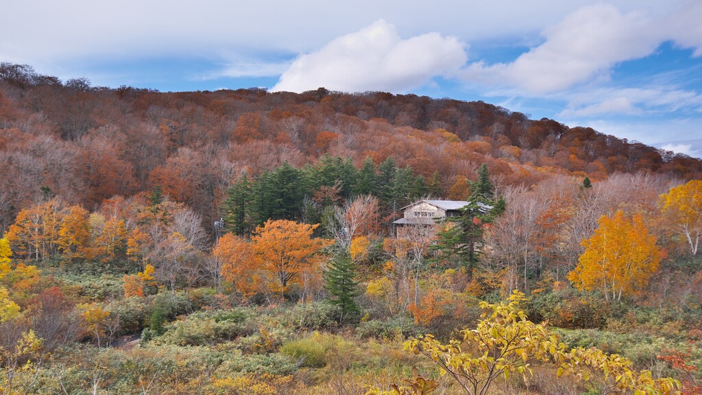八幡平の紅葉