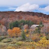 八幡平の紅葉