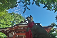 柴崎稲荷神社2