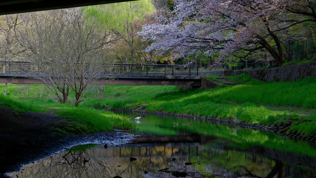 野川