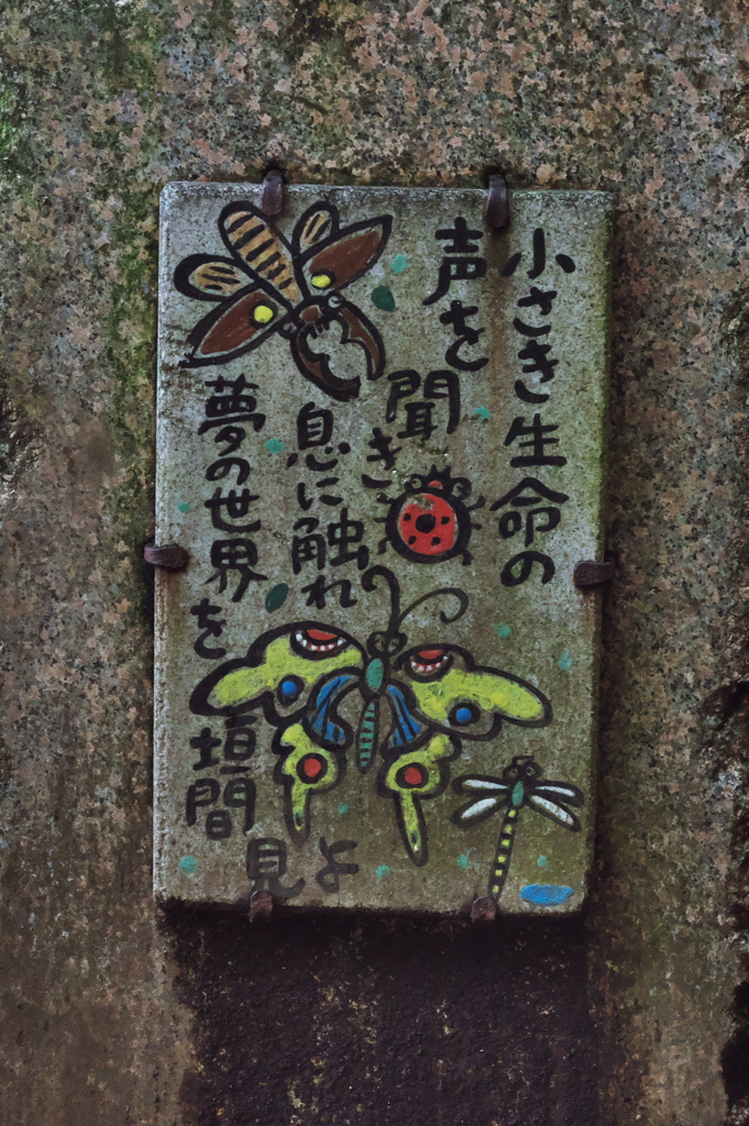 森の詩