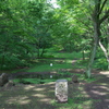 城山公園