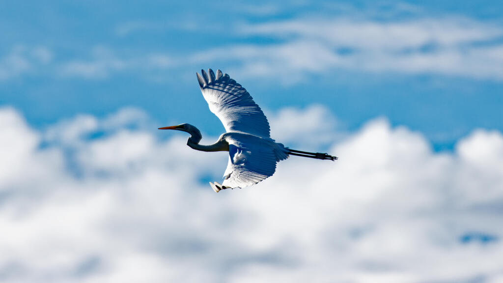 大空へ