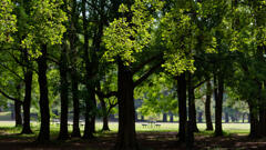 公園