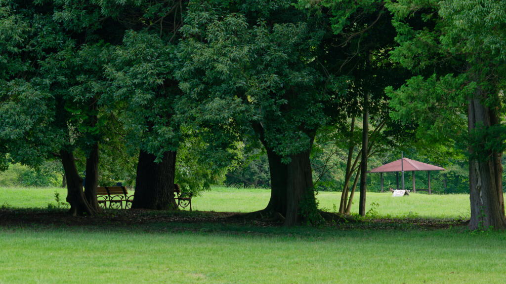 公園
