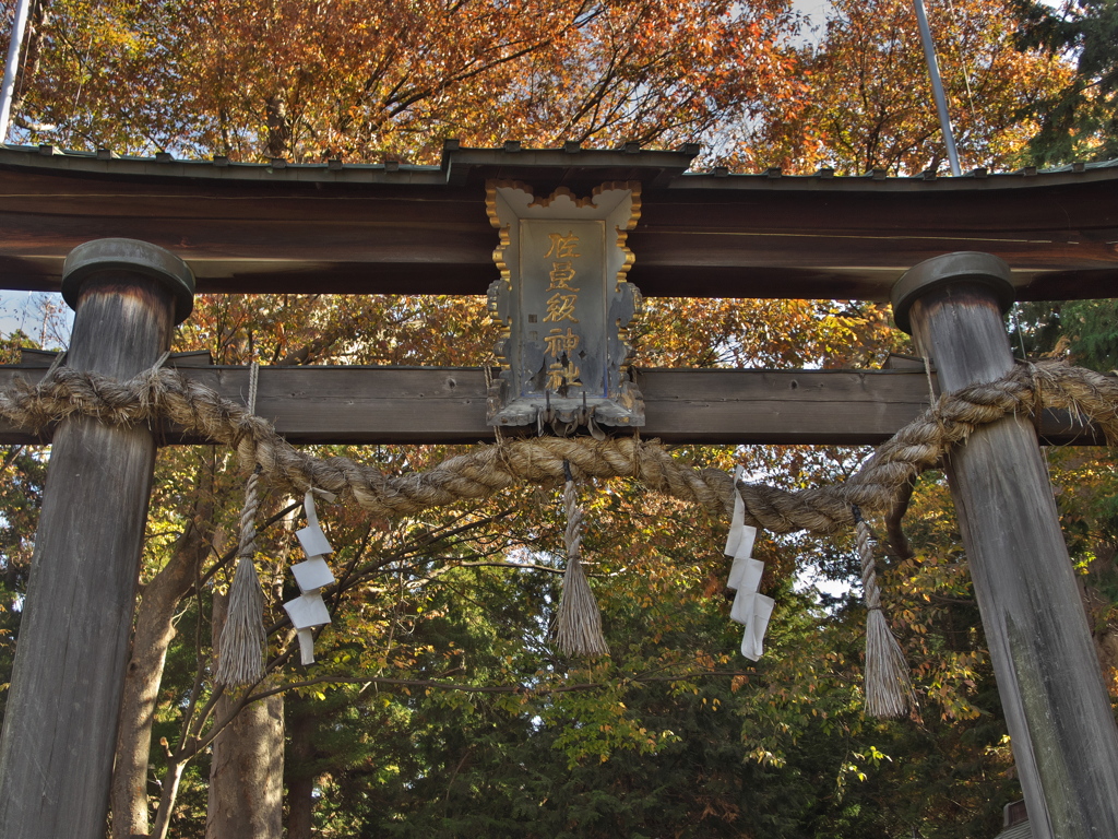 佐良志奈神社