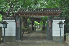 神龍山 井口院2