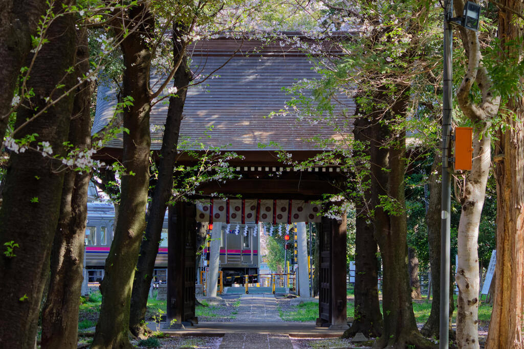武蔵国府八幡宮2