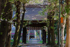 武蔵国府八幡宮2