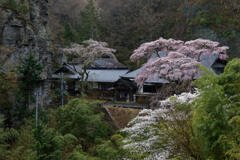 布引観音釈尊寺4