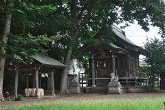 諏訪神社白糸台