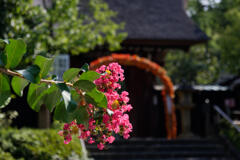 深大寺 山門