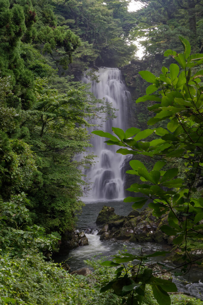 奈曽の白滝