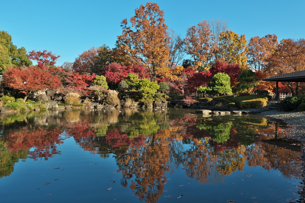 日本庭園1
