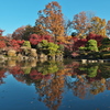 日本庭園1