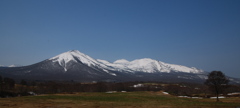 春の八甲田山