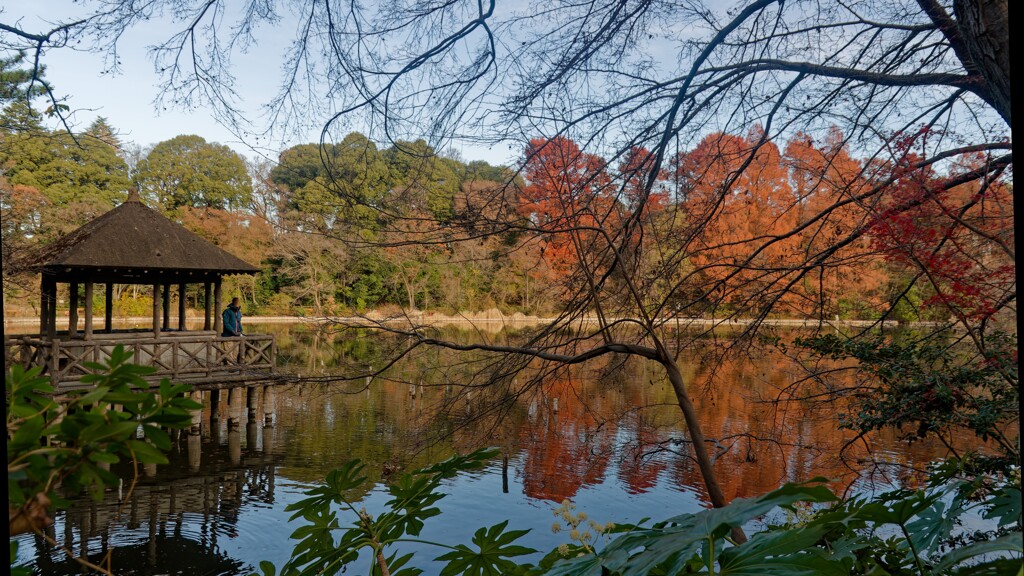 三宝寺池