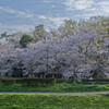 武蔵野公園