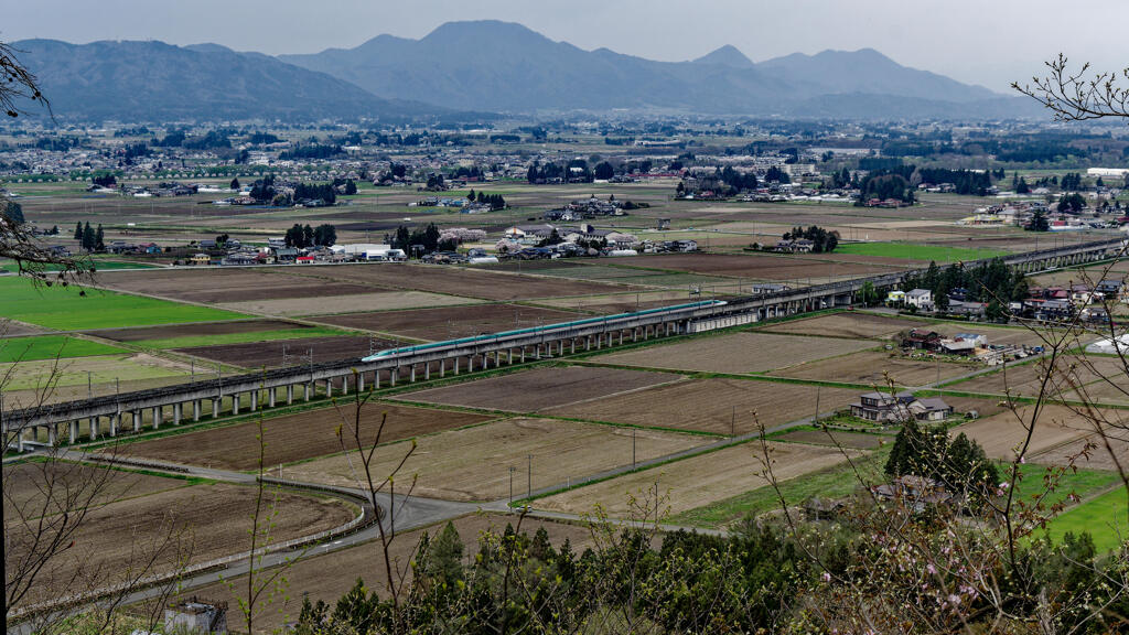 戸塚の森森林公園Ⅰ