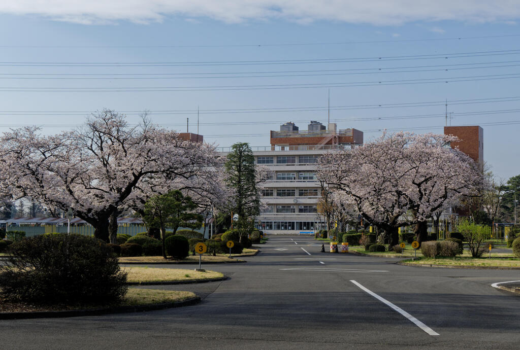 自動車試験場