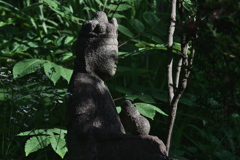 石仏