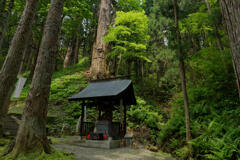 志和稲荷神社2